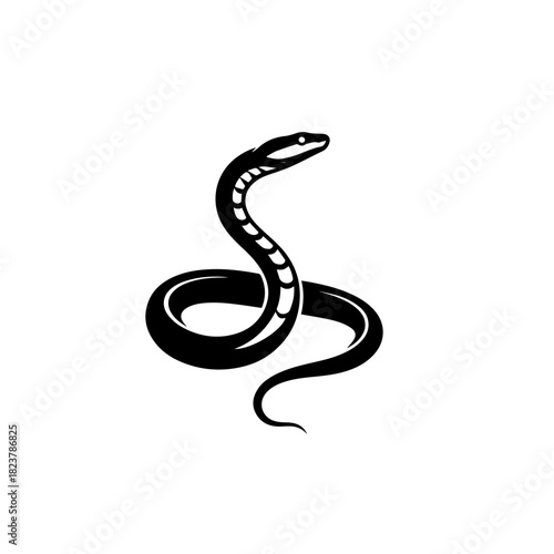 Inland Taipan Snake Vector Art | Highly Venomous Australian Snake Illustration