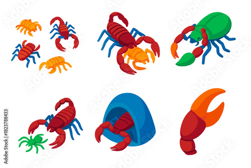 Pseudoscorpion Life Cycle. Isometric vector illustration set Pseudoscorpions: pseudoscorpion lifecycle, molting process, hitching