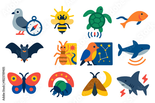 Animal Navigation Icons. Flat vector icons of navigation in animals: pigeon with compass, bee sun compass, sea turtle magnetic