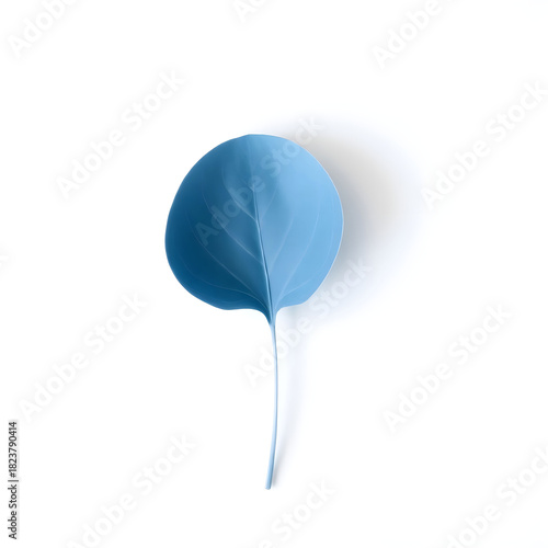 A solitary blue leaf with delicate veins and a gentle curved shape is placed on a pristine white background