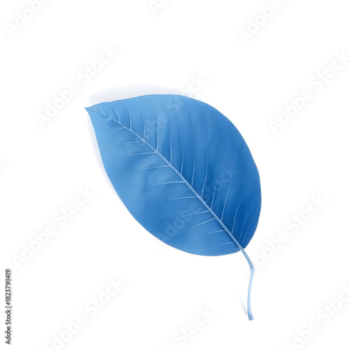 A solitary blue leaf with delicate veins and a gentle curved shape is placed on a pristine white background