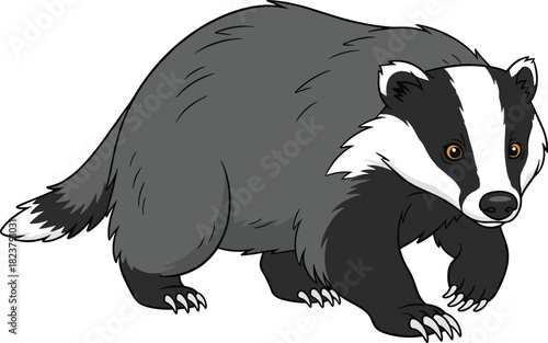 European Badger Cartoon, Black and White Stripes, Wildlife, Animal, Mammal, Forest, Nature, Isolated, Cute, Mascot, Fauna, Vector, Illustration, Digging, Nocturnal, Carnivore, Funny, Creature.
