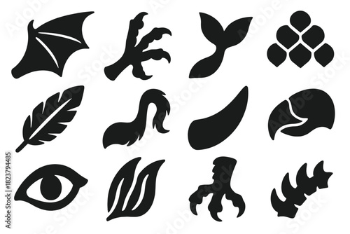Fantasy Creature Icons. Solid style icons of creature anatomy: dragon wing, phoenix claw, mermaid fin, scales, feathers, tail,