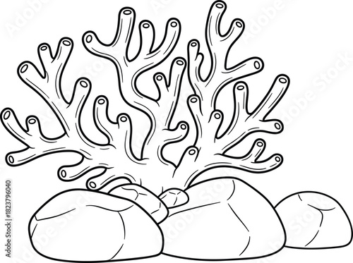 Simple branching coral on rocks outline doodle, cute black and white marine life vector illustration, ocean floor element, underwater plant, aquatic ecosystem decoration.