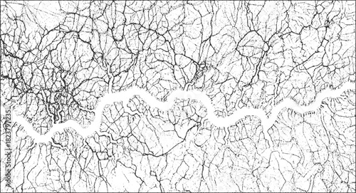 Black and white abstract pattern of branching veins or roots with a winding white channel background