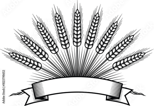 Vintage wheat emblem illustration with detailed grain stalks and blank ribbon banner, organic agriculture design for bakery, farm, brewery and label branding