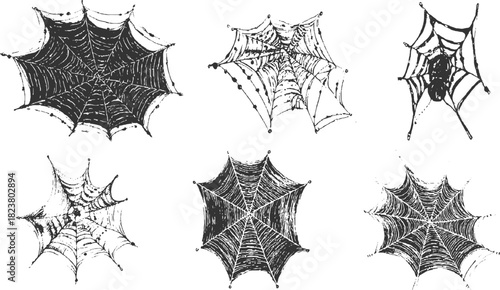 Six hand drawn black spiderwebs with a spider in one web on white background arachnid insect