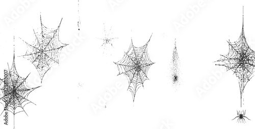 Collection of black and white spiderwebs and a spider illustration on white background arachnid insect