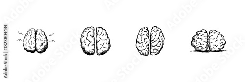 Brain Doodle Sketch Set. Cognitive Function, Mental Health, And Neurological Activity In Hand Drawn Style Collection. Conceptual Illustration Of Brain States. Isolated Vector Illustration