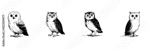 Owls Doodle Sketch Set. Wisdom And Nocturnal Insight In Hand Drawn Style Collection. Detailed Illustrations Of Owls In Various Poses. Isolated Vector Illustration