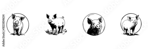Pig Doodle Sketch Set. Farm Animal, Livestock, And Agriculture Representation In Hand Drawn Style Collection. Cute Piglet Designs. Isolated Vector Illustration
