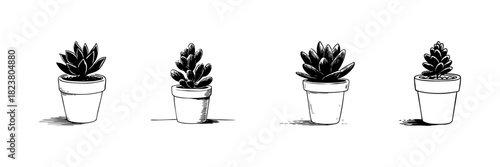 Potted Succulent Plants Doodle Sketch Set. Indoor Gardening And Home Decor In Hand Drawn Style Collection. Botanical Illustration For Nature Enthusiasts. Isolated Vector Illustration