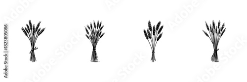 Wheat Sheaves Doodle Sketch Set. Agricultural Harvest And Farming Symbol In Hand Drawn Style Collection. Rustic And Organic Farming Theme. Hand Drawn Isolated Vector Illustration