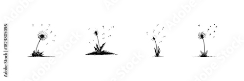 Dandelion Seed Dispersal Doodle Sketch Set. Nature Cycle And Growth Process In Hand Drawn Style Collection. Botanical Illustration Of Dandelion Seeds In Motion. Isolated Vector Illustration