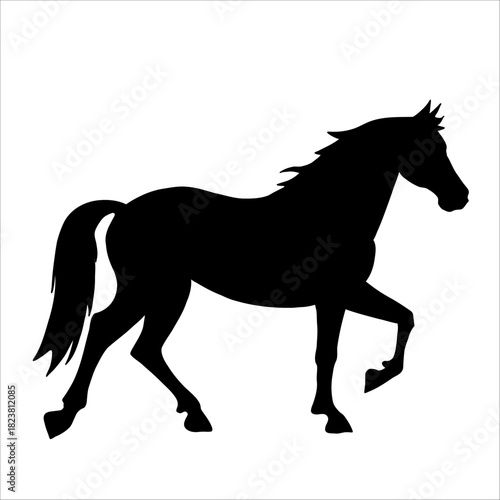 Vector silhouette of horse isolate on white backround.