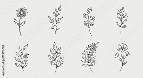 Minimalist botanical line art collection of floral sprigs and leaves