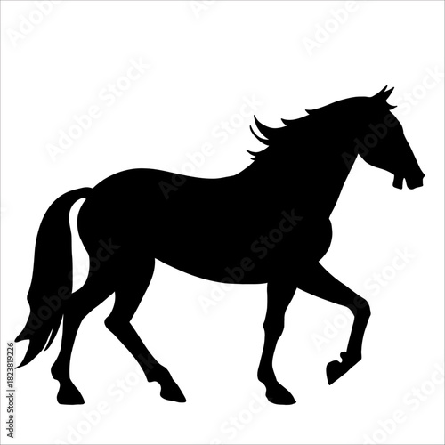 Vector silhouette of horse isolate on white backround.