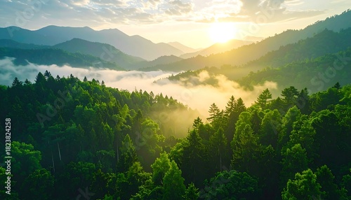 Sunrise shines on mist-filled valley surrounded by lush mountains covered in dense forest
