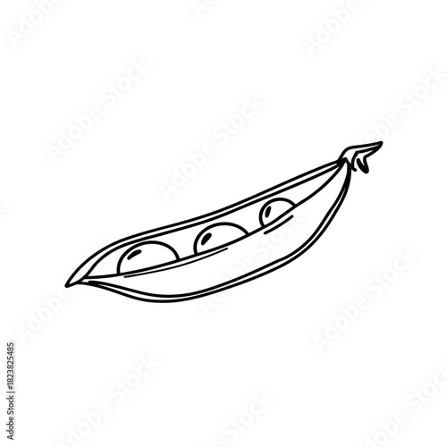 Simple line art illustration of a freshly opened pea pod with three peas
