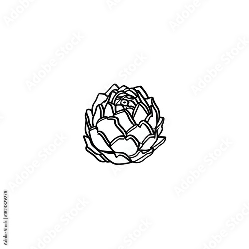 Artichoke illustration on white background for commercial or editorial use