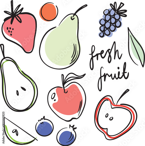Fresh fruit illustrations, food clipart. Healthy eating doodles.