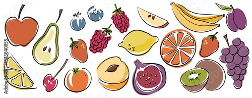 Colourful fruit illustrations. Collection of fruit clipart. Hand drawn doodles.