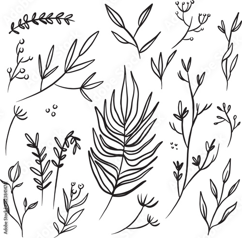 Plant and flower doodles, hand drawn original illustrations, floral graphic elements