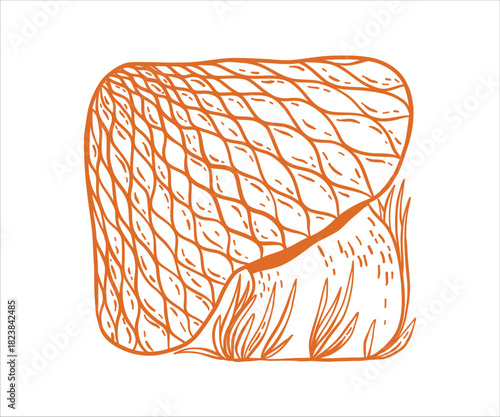 A doodle style mushroom appears in a light outline, capturing the charm of autumn vegetation with subtle fantasy notes and a cottagecore aesthetic inspired by wild forest plants.