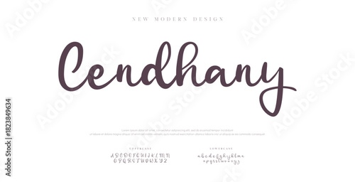 Hand drawn calligraphic vector monoline font. Distress signature letters. Modern script calligraphy type. ABC typography latin signature alphabet.