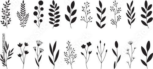 Elegant Botanical Silhouette Set Featuring Diverse Leaves, Foliage Branches, and Wildflower Stems in Minimal Black Vector Style