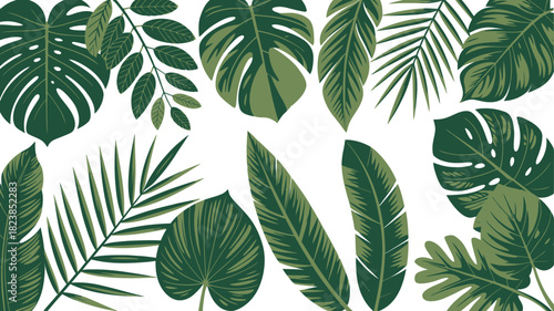 Collection of various tropical leaves isolated on, perfect for adding a touch of nature