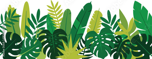 Tropical leaves border isolated on, green foliage decoration element design