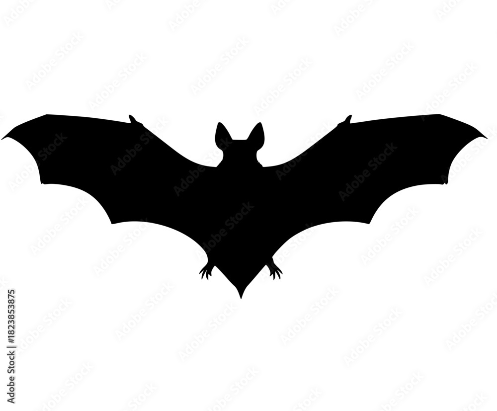 Fototapeta premium Silhouette Night's Guardian: Bat Flight | Clean, isolated vector art for creative projects.
