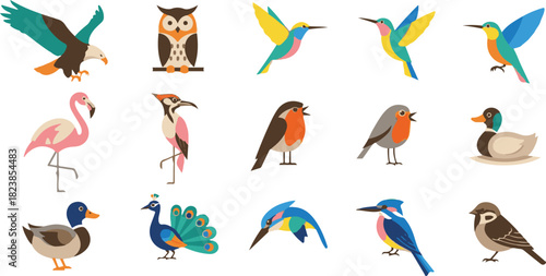 set of birds