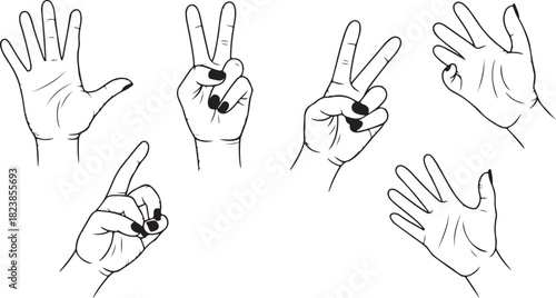 Hand Gesture Line Art Set Featuring Counting Hands, Peace Signs, OK Gesture, Pointing Hands, and Expressive Finger Poses in Minimal Black Vector Style
