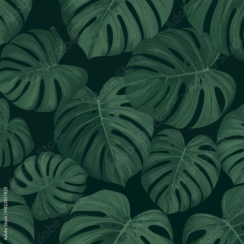 Lush Monstera Deliciosa Leaves A Tropical Greenery Delight.