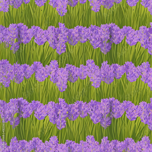 Rows of Lavender Flowers in Full Bloom with Green Stems.