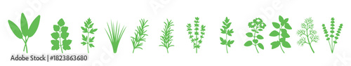Collection of  herb colors vector illustrations
