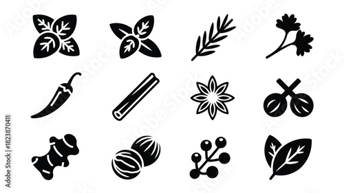 Set of spice and herb icons simple glyph vector design culinary ingredient for cooking and flavoring
