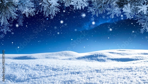 Snow-covered field under a starry sky, framed by frosted branches, evokes a serene winter scene