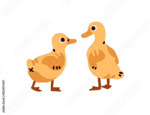 Cute ducklings or goslings have fun together. Funny baby ducks or geese play. Yellow chicks of poultry, domestic birds, feathered farm animals. Flat isolated vector illustration on white background.