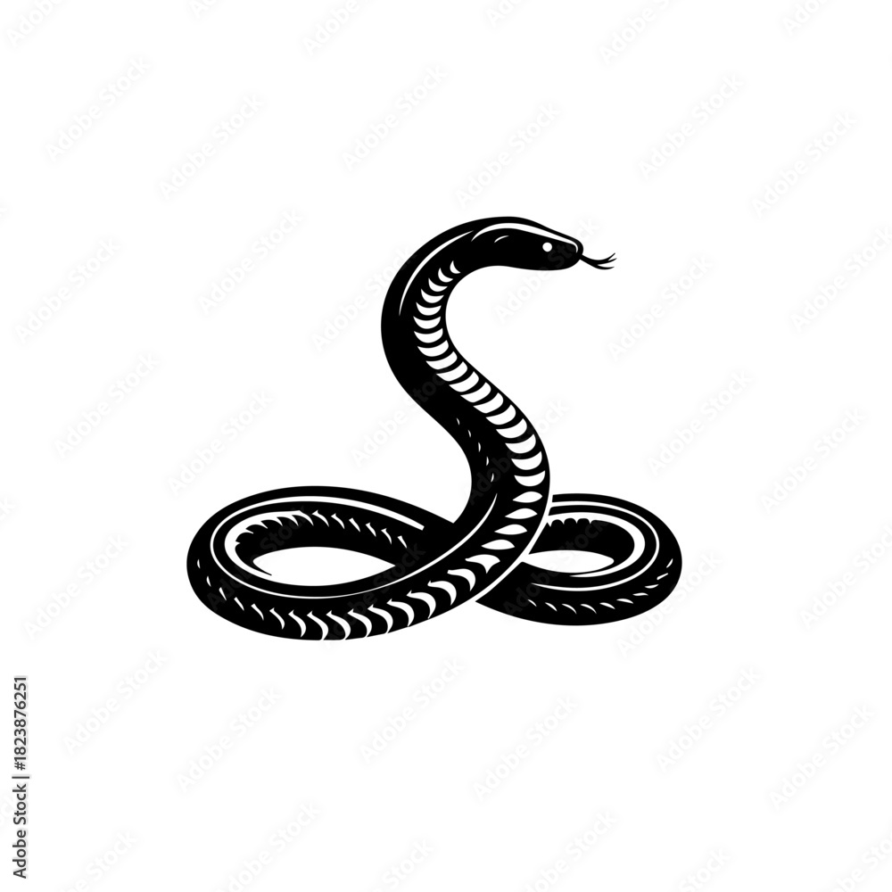 Fototapeta premium Krait Snake Vector Art | Venomous Snake Illustration