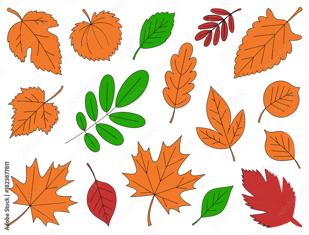 Obraz premium Autumn leaves vector set colorful fall foliage design elements graphic art
