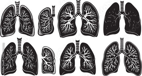 Black Silhouette Human Lungs Anatomical Illustrations on White anatomy