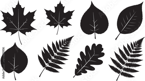 Collection of Black Leaf Silhouettes on White Background Keywords: leaf, leaves, silhouette