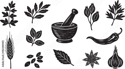 Culinary Herbs Spices and Ingredients Silhouettes Keywords: herb, spice, ingredient, food