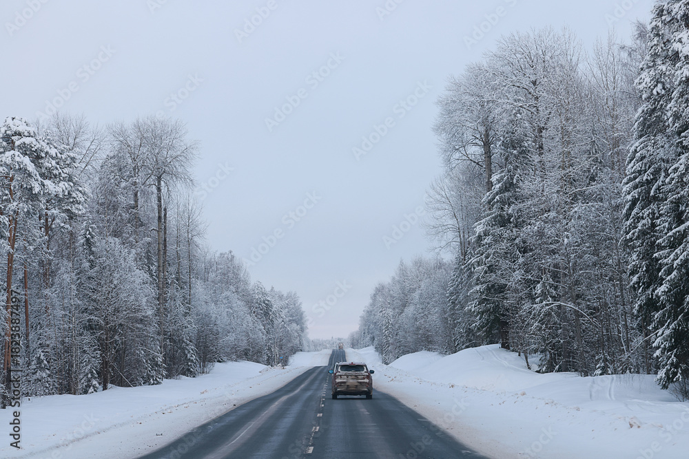 Obraz premium snowfall on a winter road, abstract background, blurred highway backdrop snowy landscape