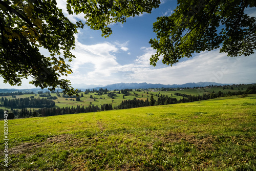 Fototapeta Naklejka Na Ścianę i Meble -  Close-up of grass and tree leaves framing a vast scenic view of the Tatra Mountains from the Sierockie area in Poland. Warm summer light on rolling hills.