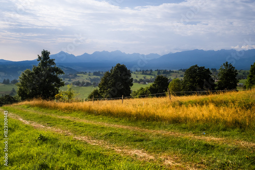 Fototapeta Naklejka Na Ścianę i Meble -  Close-up of grass and tree leaves framing a vast scenic view of the Tatra Mountains from the Sierockie area in Poland. Warm summer light on rolling hills.