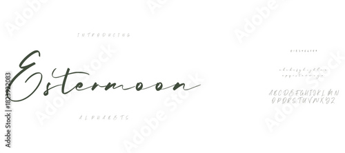 Elegant alphabet letters font logo. Typography luxury classic lettering serif italic fonts decorative wedding vintage retro logos. vector illustration